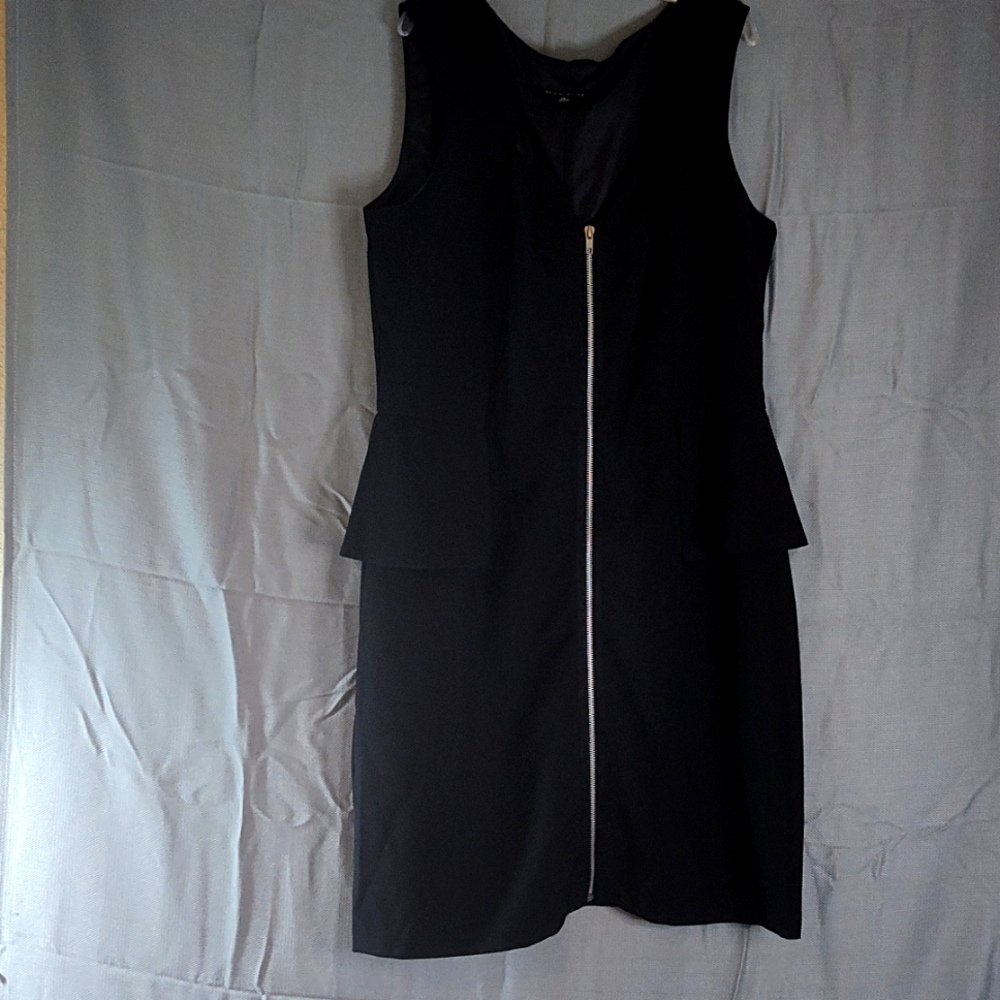 True Envy Dress